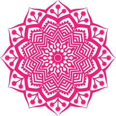 Beautiful flower art and mandala vector design