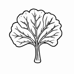Kale Outline Vector Illustration with Curly Edges and Prominent Central Vein