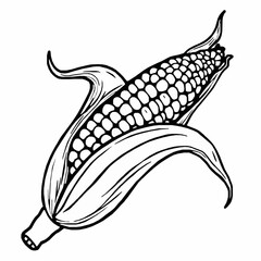 corn cob outline vector illustration with husk and kernel details