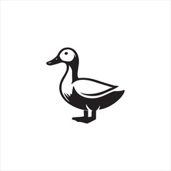 Obraz premium duck isolated on white