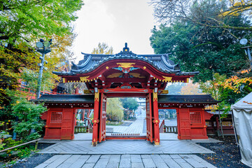 秋の霧のかかる秩父神社　埼玉県秩父市　Chichibu Shrine covered in autumn mist. Saitama Pref, Chichibu City.