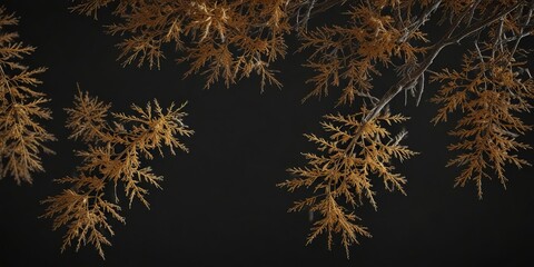Autumn larch branches with vibrant golden color on a dark black background, golden hues, seasonal change