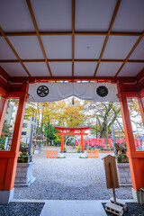 秋の秩父今宮神社　埼玉県秩父市　Chichibu Imamiya Shrine in autumn. Saitama Pref, Chichibu City.