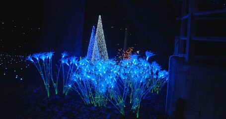 Spectacular Christmas landscape in a forest 