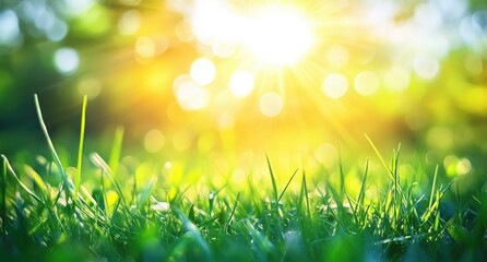 Obraz premium Bright Sunlight Illuminating Fresh Green Grass with Sparkling Bokeh Effect in Nature's Scenic Landscape