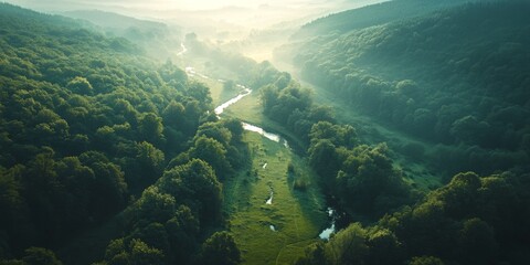 Fototapeta premium Aerial view of a serene valley with flowing river and lush green trees. The morning mist enhances the tranquil atmosphere. Perfect for nature lovers and landscape enthusiasts. AI