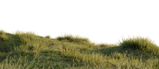 Hills with grass on a transparent background. 3D rendering