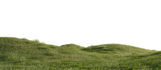Hills with grass on a transparent background. 3D rendering