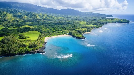 Aerial view of lush coastline and ocean.