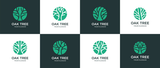 Collection of tree growth logo designs. Nature tree logo template made with lines and circles.