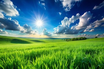Fototapeta premium Spring Meadow Panorama: Blue Sky, Green Grass, Nature Photography, High-Resolution Image, Scenic View