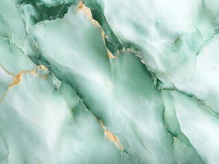 Fototapeta premium This is a close up view showcasing a detailed green marble texture