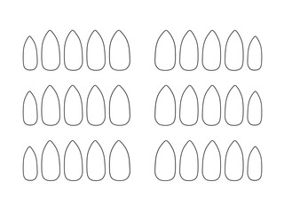 nail art template empty almond nails vector 