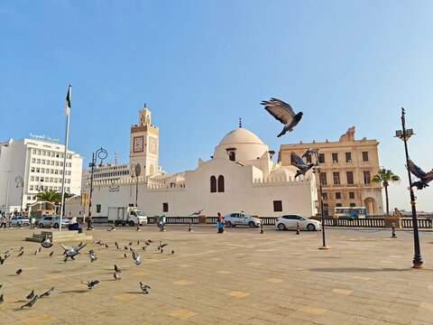 Panoramic view on the Place des Martyrs and Djemaa El Djedid ( mosquee de la pecherie). Algiers. Algeria