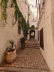 View on the narrow alleys and old house's of the casbah of Algiers. Algeria © Hocineharoun
