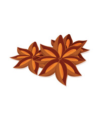Anise star isolated on white stock illustration