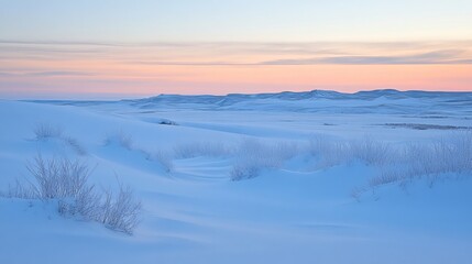 Fototapeta premium A breathtaking winter scene unfolds before you. Layers of snowdrifts adorn the pristine landscape, illuminated by the ethereal glow of an evening sky. Delicate snowflakes dance in the cold air