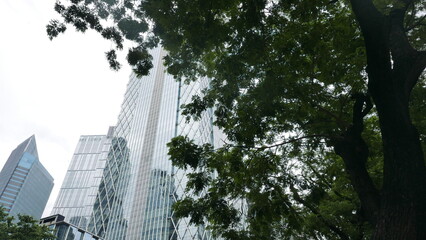 A skyscraper that stands majestically and faces shady trees in one of Asia's office areas