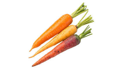 Three fresh carrots isolated transparent background