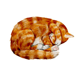 Sleeping ginger cat- cozy painted clipart for home decor, greeting cards, and lifestyle stickers.