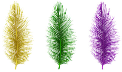 set of isolated colorful feathers for mardi gras decorations © Angelica
