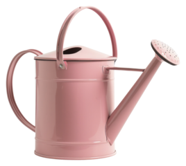 PNG Cottagecore cute watering can tin gardening accessory.