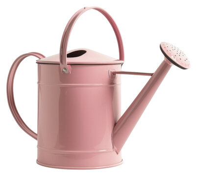 recommend clip art: PNG Cottagecore cute watering can tin gardening accessory.