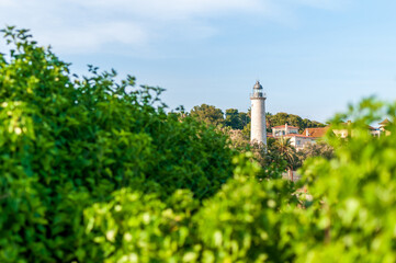 Vista del Far de Sant Cristòfol en Vilanova i la Geltrú a través de la vegetación. El faro...