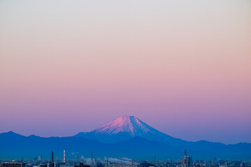 ビーナスベルトに染まる富士山
