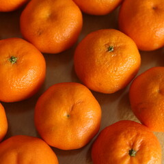 oranges on the market