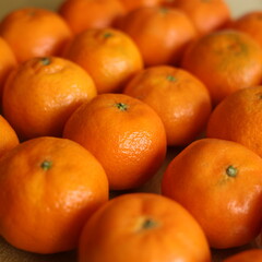 oranges in the market