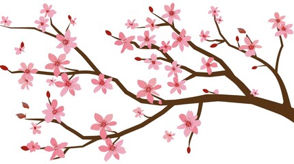  The Captivating White Background Cherry Blossom Tree: A Vision of Delicate Beauty and Springtime Splendor.