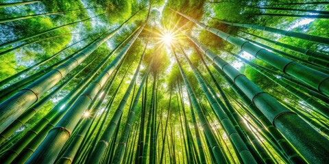 Serene Bamboo Forest on an Island: Lush Greenery, Tranquil Nature, Exotic Landscape, Tropical Paradise, Panoramic View, Vibrant Ecosystem, Peaceful Retreat