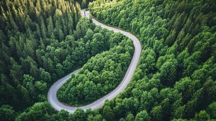 A curvy mountain road with dense trees and greenery, offering a scenic path, highlighted against a clean white background