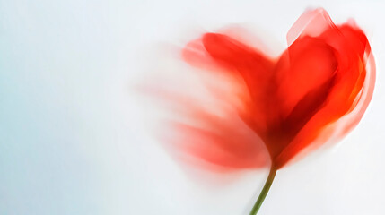 Blurry heart-shaped red flower in motion on white background. Abstract banner template with copy style