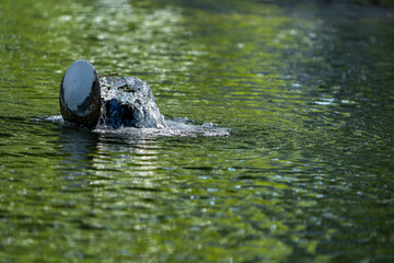 Springbrunnen