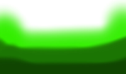 Lush Green Forest Landscape