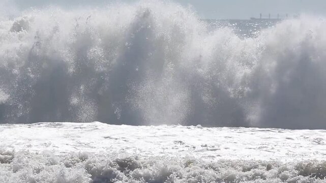 Dia de surf na Praia Brava, Santa Catarina
