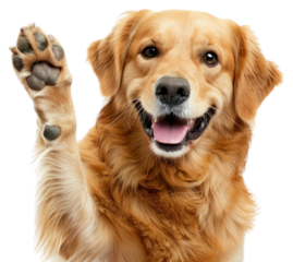 PNG Smiling dog waving its paw animal cute pet.