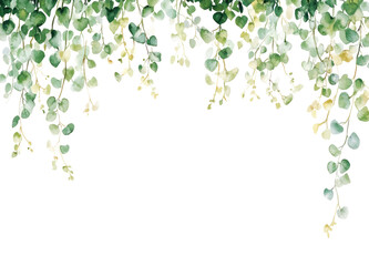 PNG Vine plant watercolor leaves leaf.
