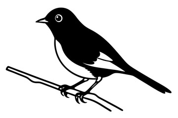 crow on a branch