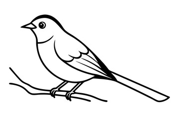 sketch of a bird