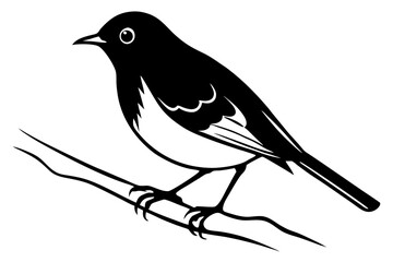 crow on a branch