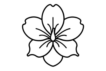 Obraz premium black and white flower