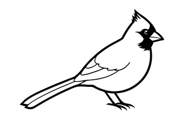 silhouette of a bird