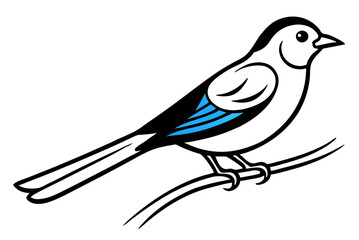 bird on a branch