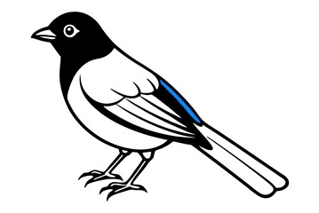 bird on a branch