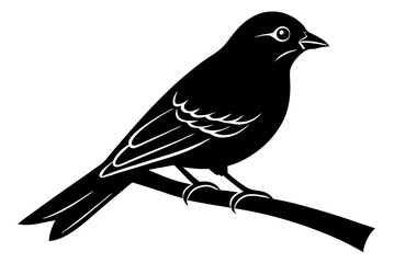 illustration of a bird