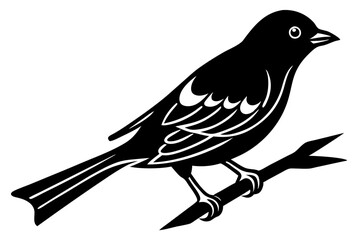 crow on a branch