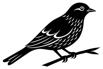 bird on a branch